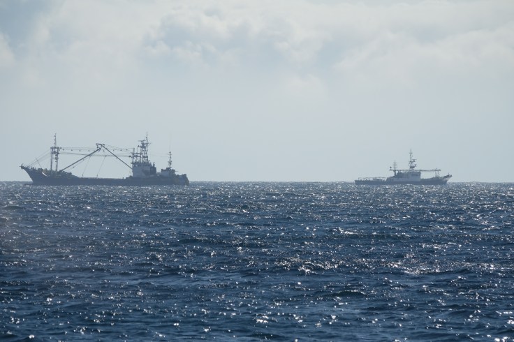 14 DSC03905 섶섬부근