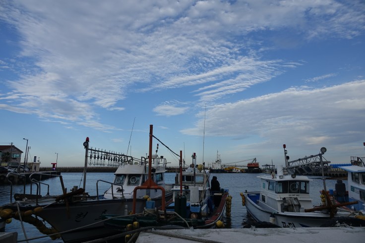 21 DSC04427 표선항