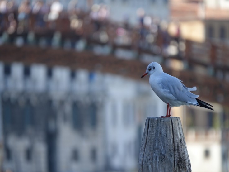 크기변환_DSC07214