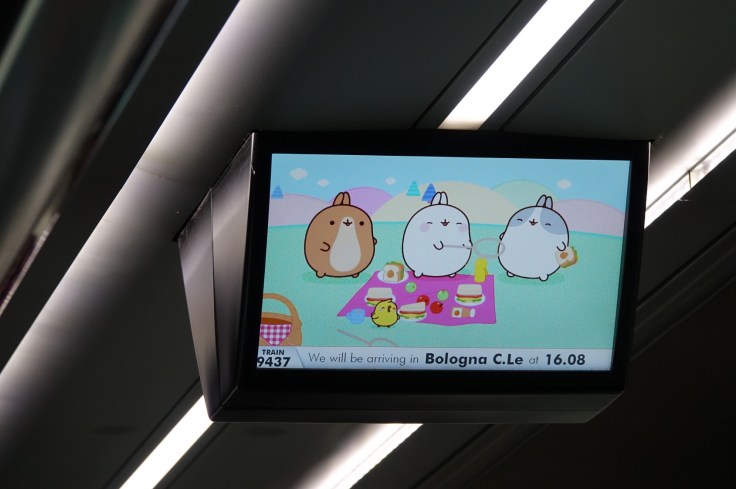 크기변환_DSC07392